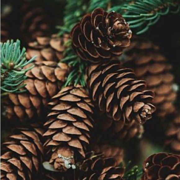 I love offers! - Picture 10 of 16